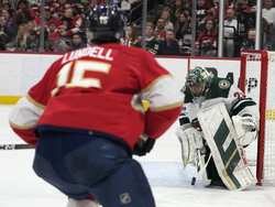 Wild Panthers Hockey