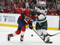 Wild Panthers Hockey