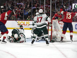 Wild Panthers Hockey