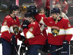 Wild Panthers Hockey