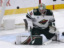 Wild Panthers Hockey
