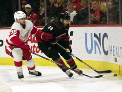 Red Wings Hurricanes Hockey
