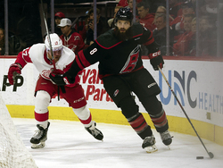 Red Wings Hurricanes Hockey