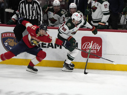 Wild Panthers Hockey
