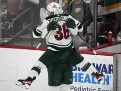 Wild Panthers Hockey