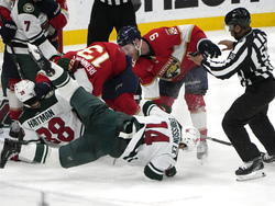 Wild Panthers Hockey