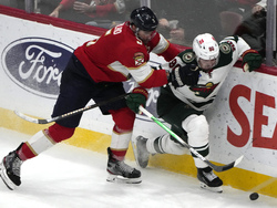 Wild Panthers Hockey