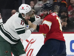 Wild Panthers Hockey