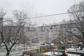 Търговище - снеговалеж - обстановка