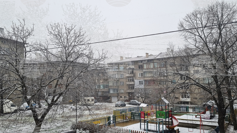 Търговище - снеговалеж - обстановка