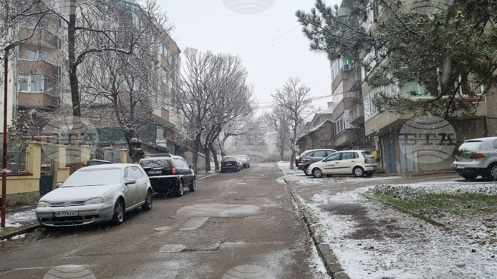 Търговище - снеговалеж - обстановка
