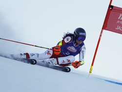 Slovakia Alpine Skiing World Cup