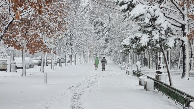 Румънските синоптици предупредиха за мразовито време от днес до 24 февруари