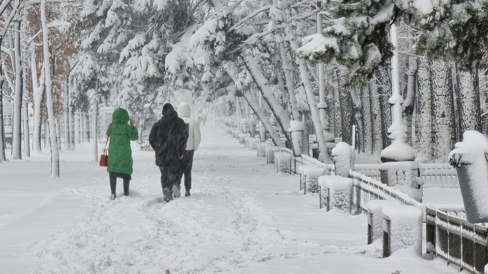 Лошото време в Румъния отне живота на двама туристи и остави хиляди домакинства без ток 