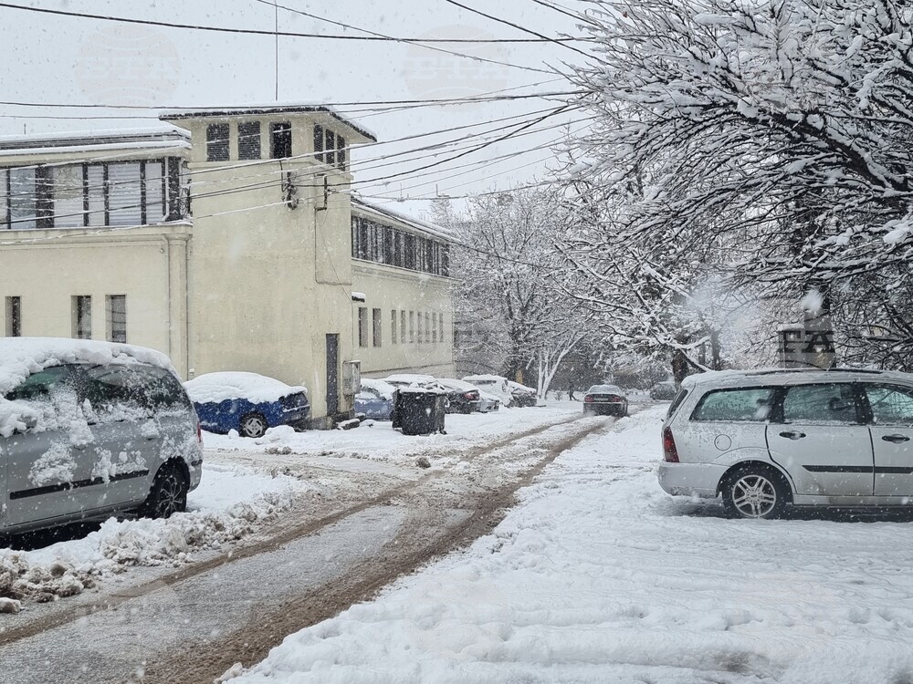 Плевен - зимна обстановка