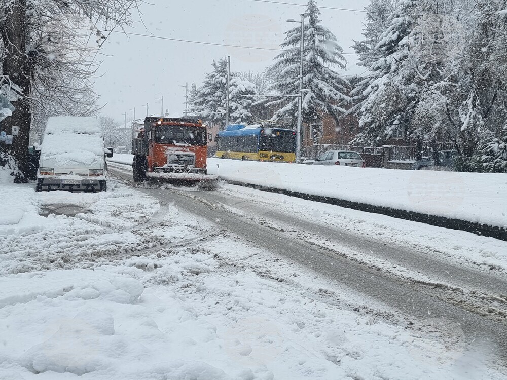 Плевен - зимна обстановка - почистване 