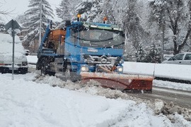 Плевен - зимна обстановка - почистване 