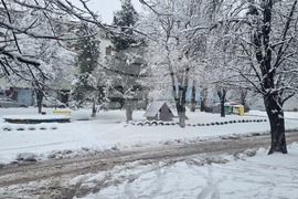 Плевен - зимна обстановка