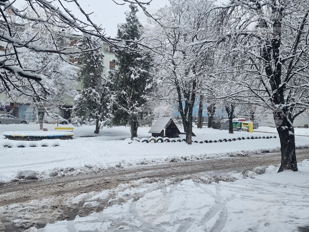 Плевен - зимна обстановка