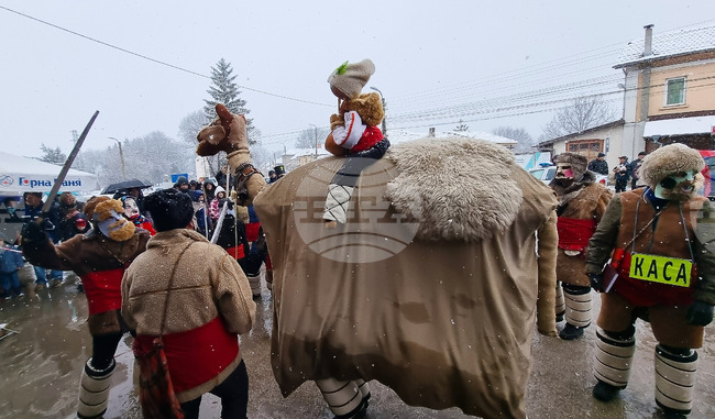 Село Йоглав - обичай „Камилата"