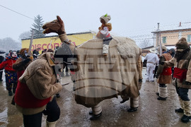 Село Йоглав - обичай „Камилата"