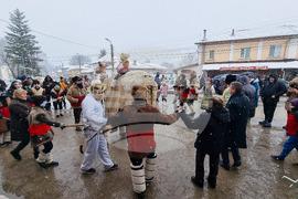 Село Йоглав - обичай „Камилата"