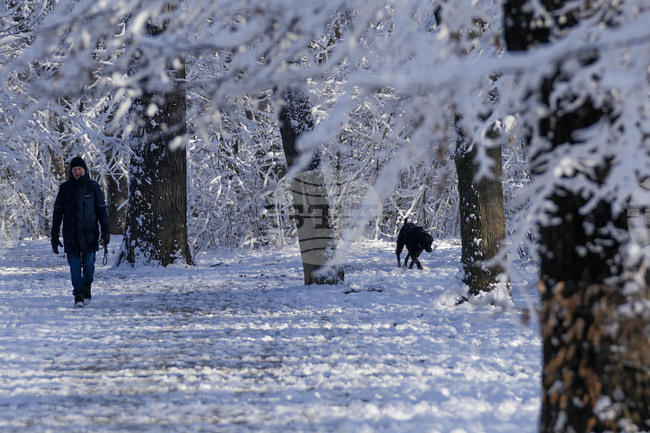 Сняг в цяла Сърбия, без ток са 10 хиляди потребители в югозападната част на страната