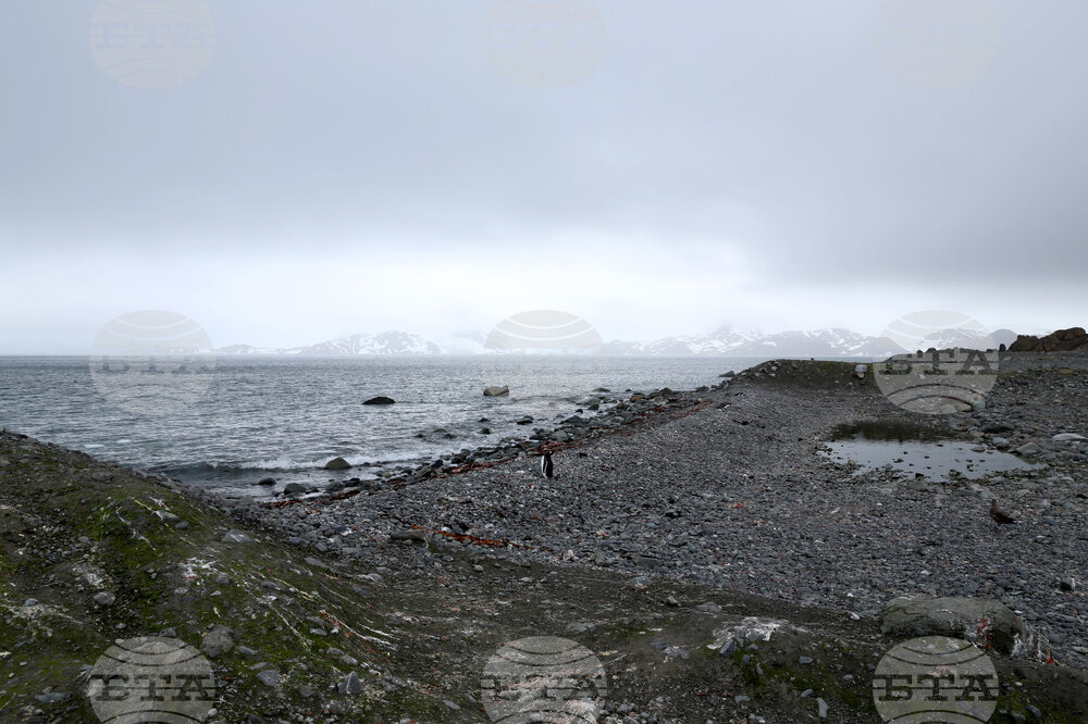 Group of Scientists from 32nd Antarctic Expedition Work on Projects at Ereby Point