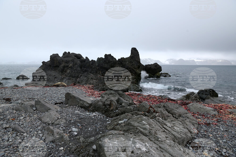 Group of Scientists from 32nd Antarctic Expedition Work on Projects at Ereby Point