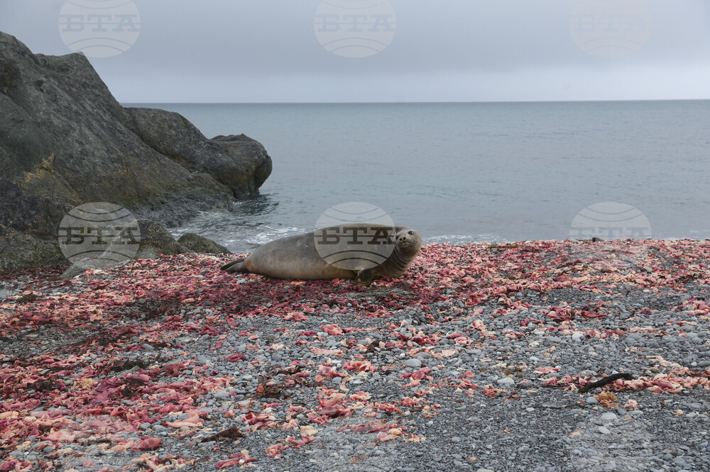 Group of Scientists from 32nd Antarctic Expedition Work on Projects at Ereby Point