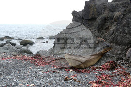 Group of Scientists from 32nd Antarctic Expedition Work on Projects at Ereby Point