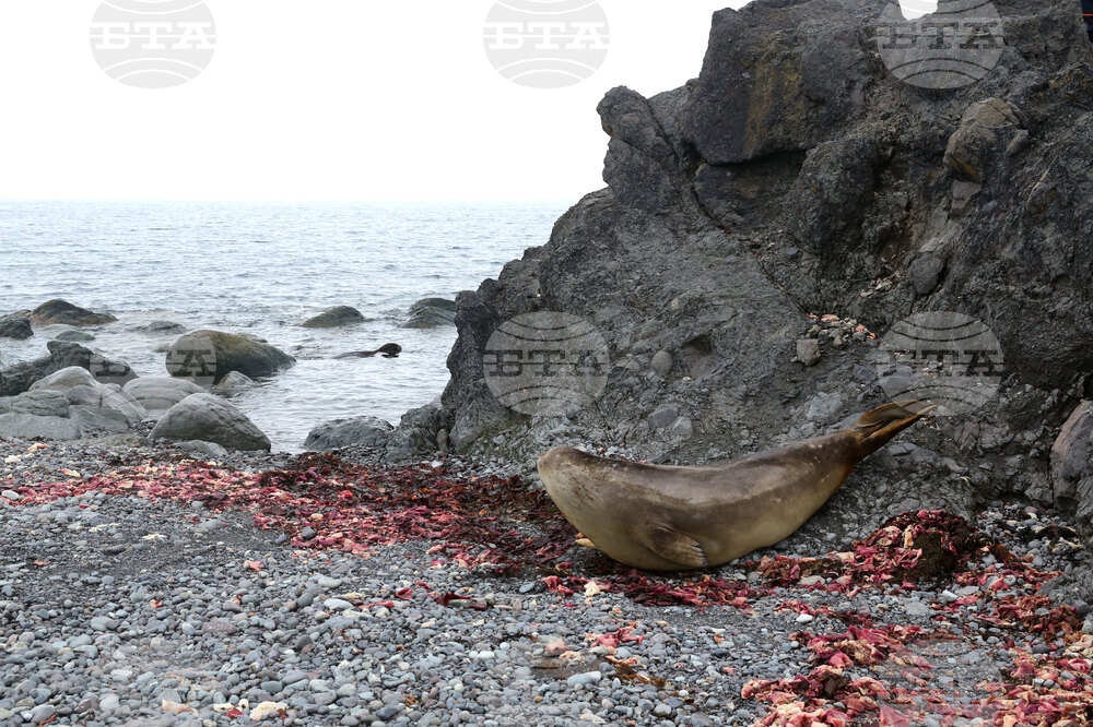 Group of Scientists from 32nd Antarctic Expedition Work on Projects at Ereby Point