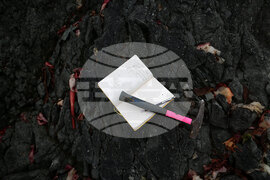 Group of Scientists from 32nd Antarctic Expedition Work on Projects at Ereby Point