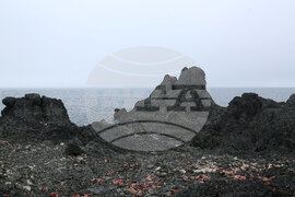 Group of Scientists from 32nd Antarctic Expedition Work on Projects at Ereby Point