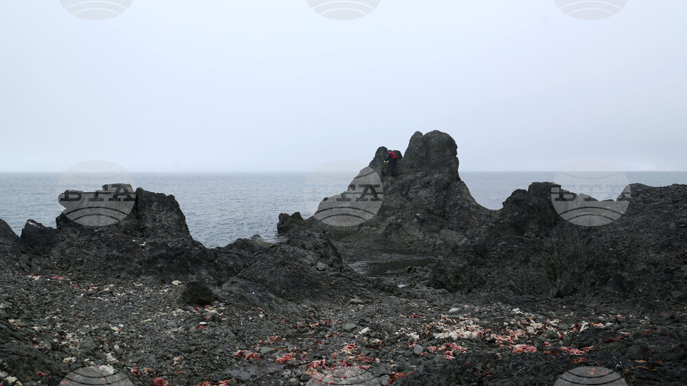 Group of Scientists from 32nd Antarctic Expedition Work on Projects at Ereby Point