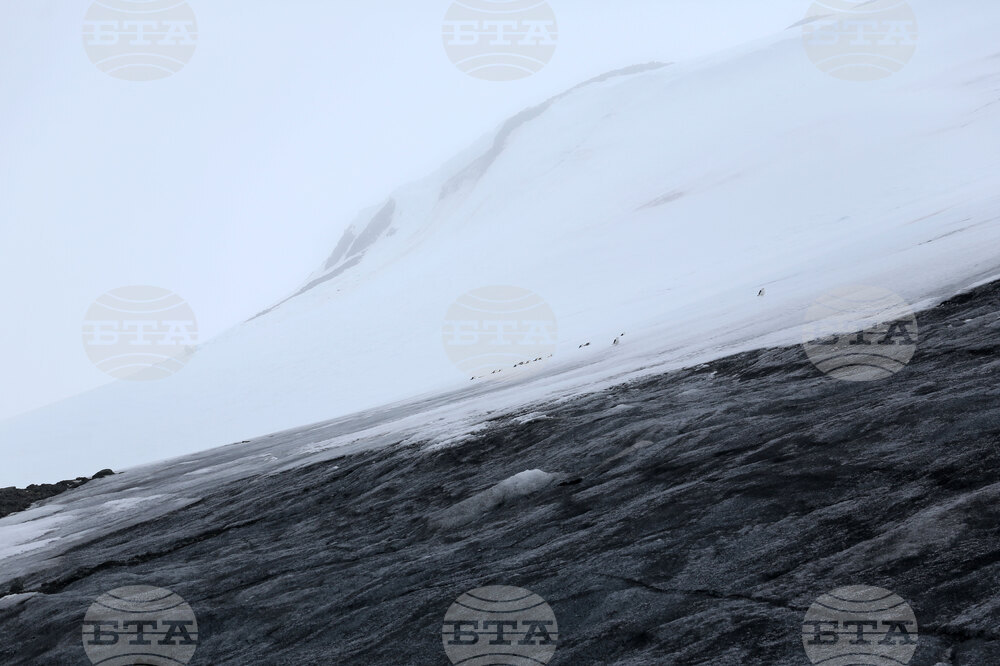 Group of Scientists from 32nd Antarctic Expedition Work on Projects at Ereby Point