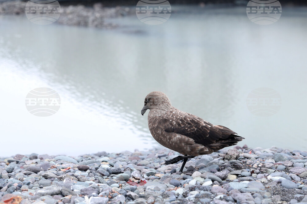 Group of Scientists from 32nd Antarctic Expedition Work on Projects at Ereby Point