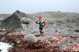 Group of Scientists from 32nd Antarctic Expedition Work on Projects at Ereby Point