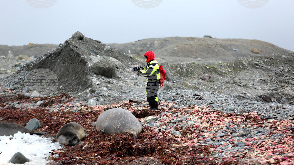 Group of Scientists from 32nd Antarctic Expedition Work on Projects at Ereby Point