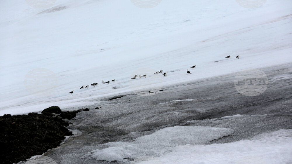 Group of Scientists from 32nd Antarctic Expedition Work on Projects at Ereby Point