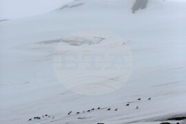 Group of Scientists from 32nd Antarctic Expedition Work on Projects at Ereby Point