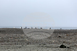 Group of Scientists from 32nd Antarctic Expedition Work on Projects at Ereby Point