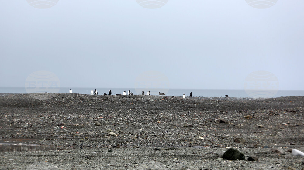 Group of Scientists from 32nd Antarctic Expedition Work on Projects at Ereby Point