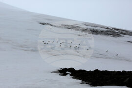 Group of Scientists from 32nd Antarctic Expedition Work on Projects at Ereby Point