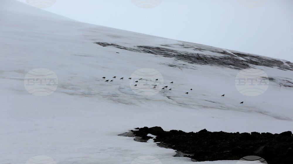Group of Scientists from 32nd Antarctic Expedition Work on Projects at Ereby Point