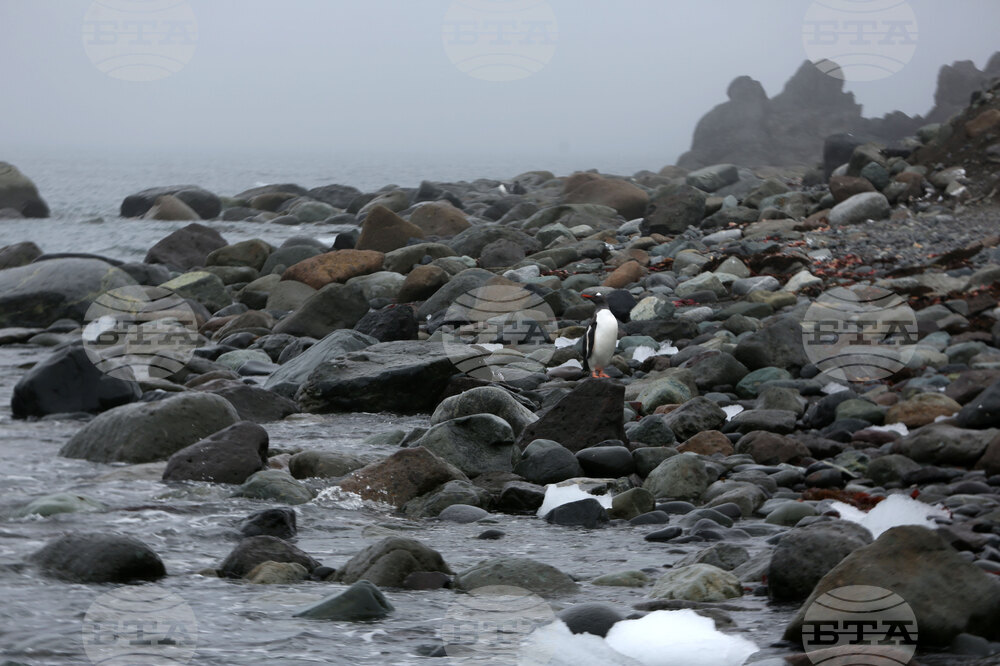 Group of Scientists from 32nd Antarctic Expedition Work on Projects at Ereby Point