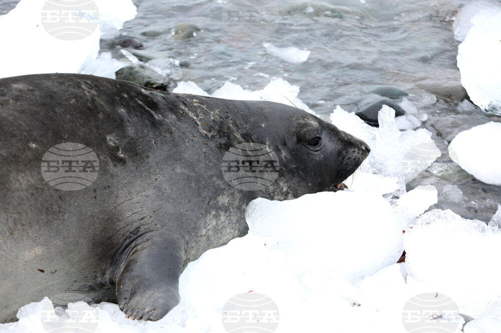 Group of Scientists from 32nd Antarctic Expedition Work on Projects at Ereby Point