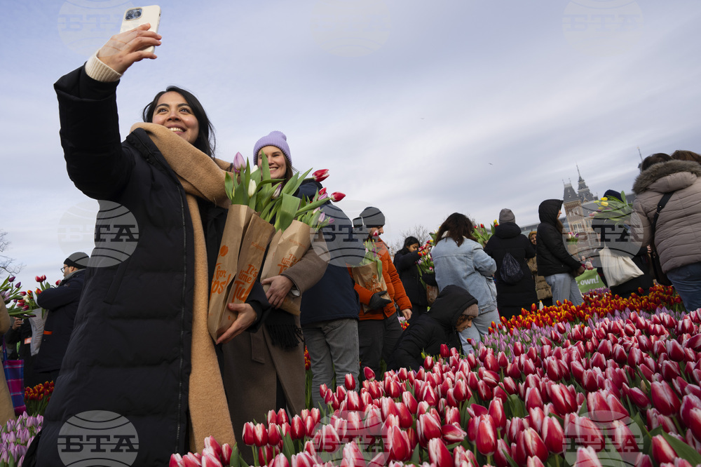 Най-богатите нидерландци стават все по-богати, а цените на жилищата увеличават активите им