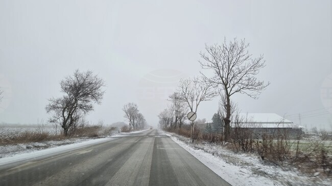 Всички пътища в област Добрич са обработени и почистени 