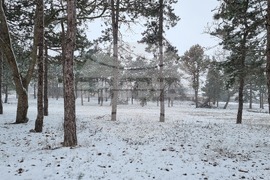 Добрич - зима - обстановка